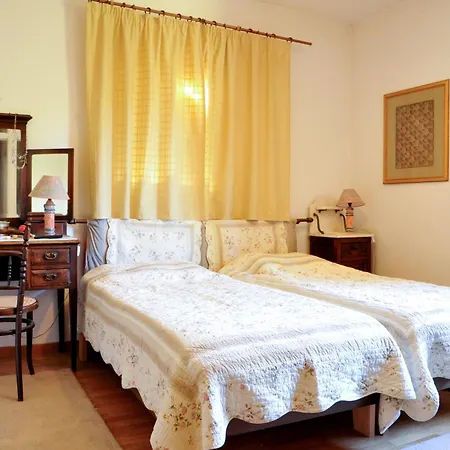 Aesthetic Delight - Stone In *